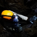 caving 4