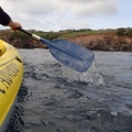 Kayak 8