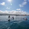 sup experience 2 web
