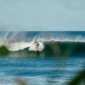 surf experience 4 web